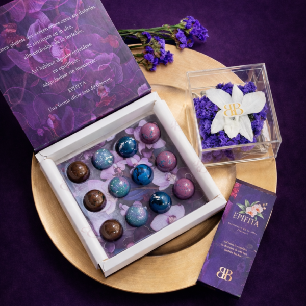 Experiencia Epífita