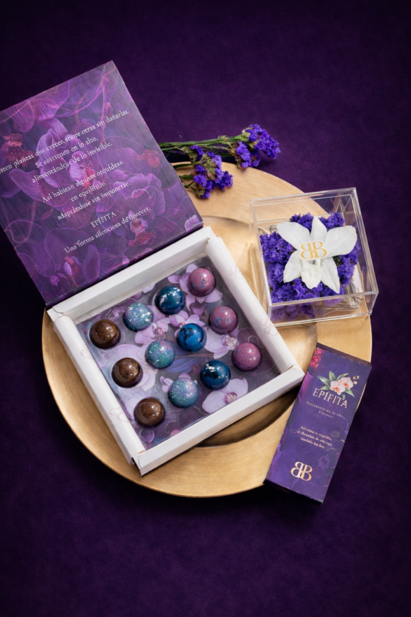 Experiencia Epífita