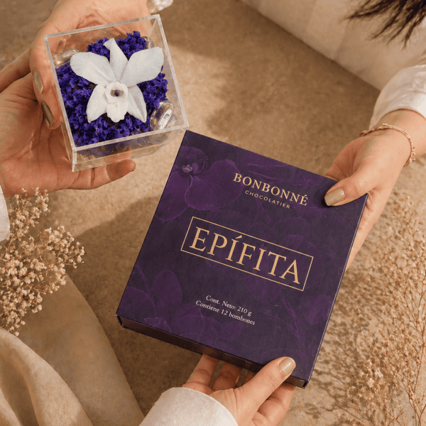 Experiencia Epífita
