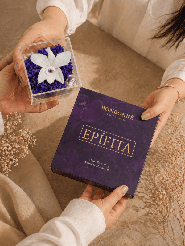 Experiencia Epífita