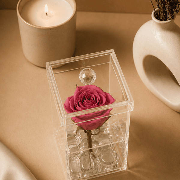 Rosa con tallo encantada