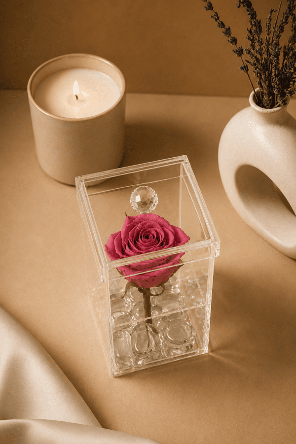Rosa con tallo encantada
