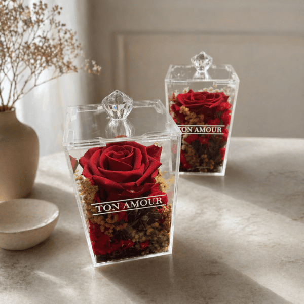 Rosa Encantada Petit