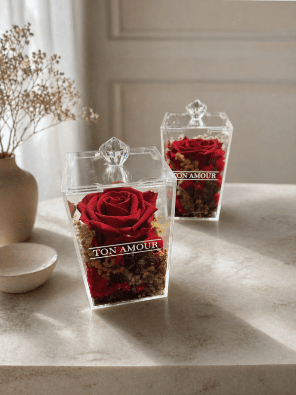 Rosa Encantada Petit